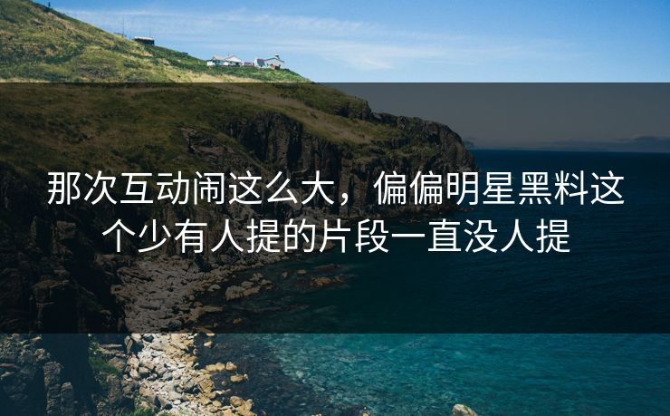 那次互动闹这么大,偏偏明星黑料这个少有人提的片段一直没人提