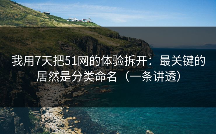 我用7天把51网的体验拆开：最关键的居然是分类命名（一条讲透）