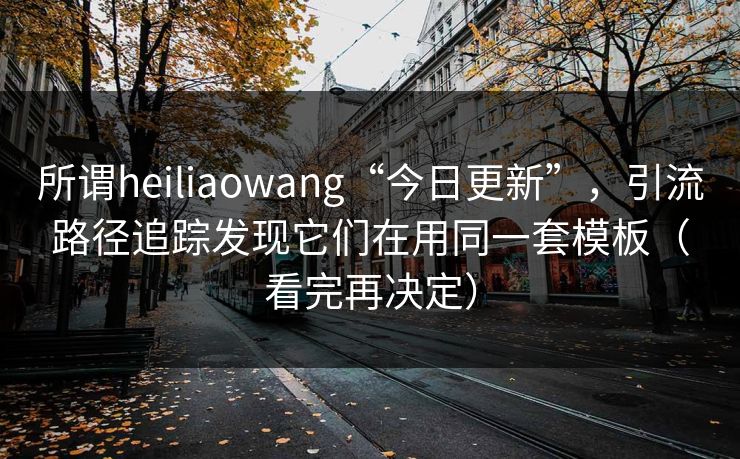 所谓heiliaowang“今日更新”，引流路径追踪发现它们在用同一套模板（看完再决定）