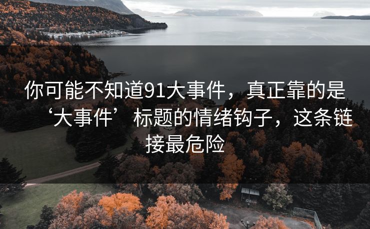 你可能不知道91大事件，真正靠的是‘大事件’标题的情绪钩子，这条链接最危险