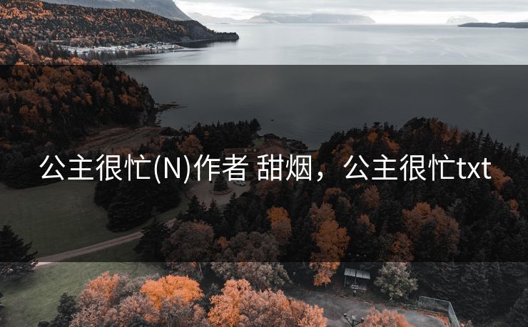 公主很忙(N)作者 甜烟，公主很忙txt