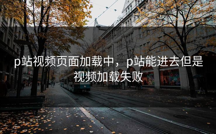 p站视频页面加载中，p站能进去但是视频加载失败